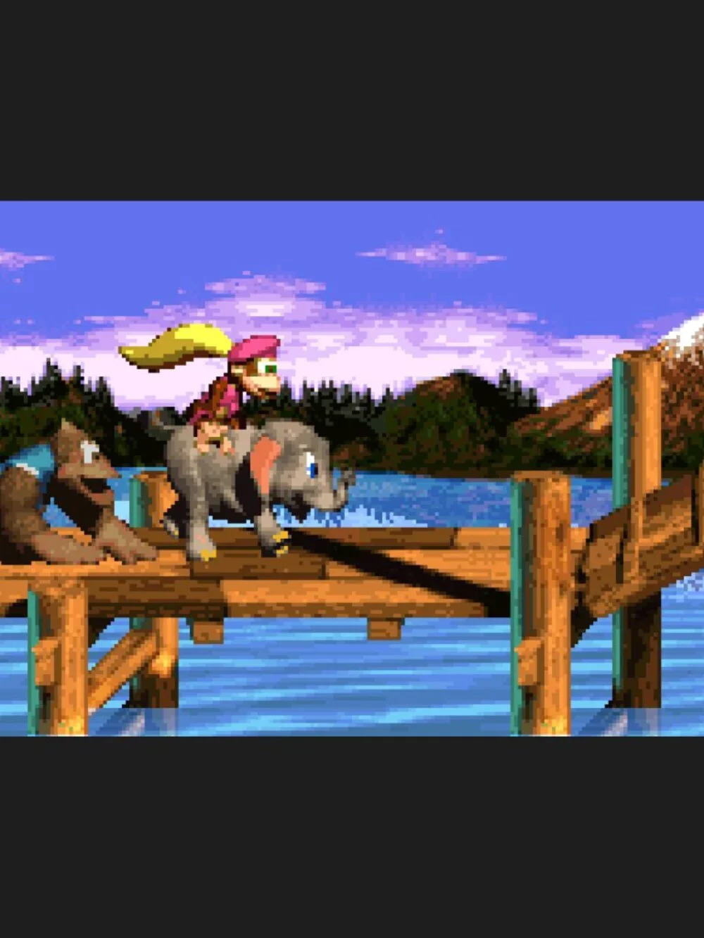 N/A dixie kong